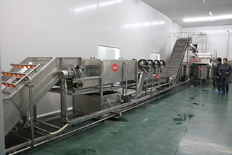 Kiwi deep processing engineering case